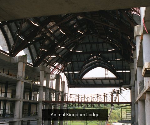 Animal-Kingdom-Gallery-Image-1