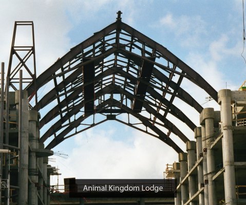 Animal-Kingdom-Gallery-Image-3